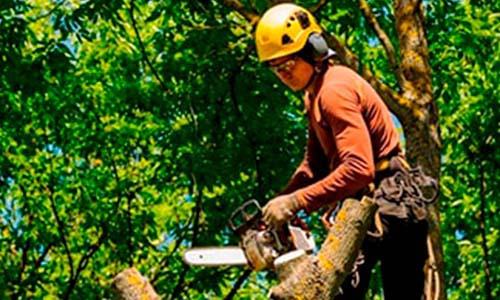 Laudo Técnico No Itaim Paulista